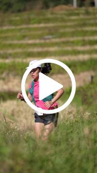 BIB:  <button type="button" onclick="openModal(26787346)" class="btn btn-primary btn-sm float-right" data-toggle="modal" data-target=".modal-high-quality">
                <i class="fa fa-download"></i> Download
                </button>